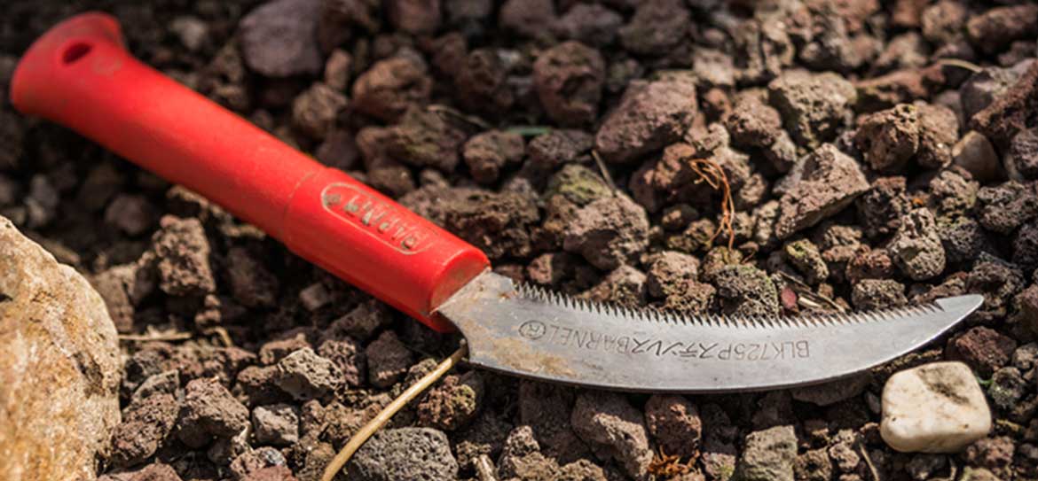 Gartenpflege - Saisonale Pflege