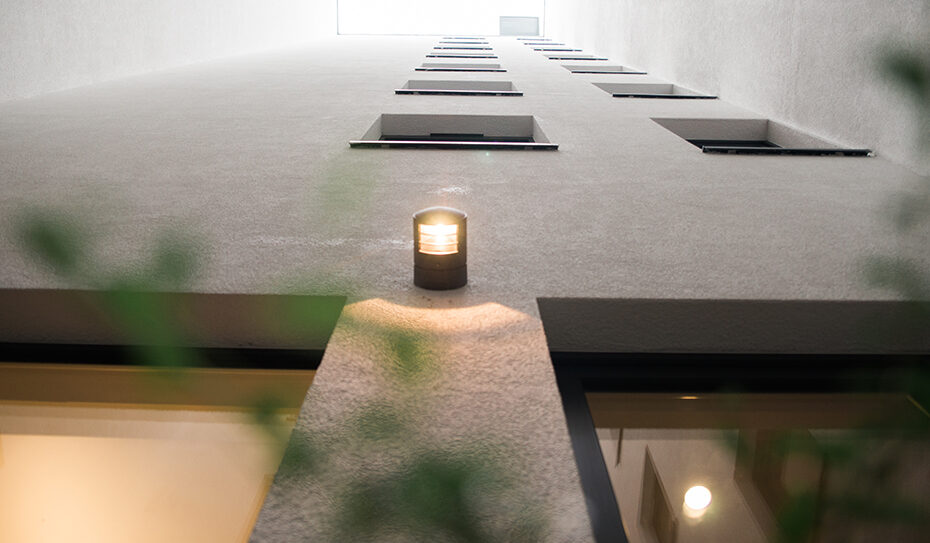 Robuste Pflanzkübel sollten mit Pflanzen versehen werden, die den doch nicht ganz optimalen Lichtbedingungen trotzen und einen Blickfang aus den Räumlichkeiten darstellen.