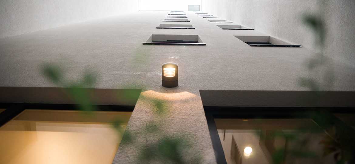 Robuste Pflanzkübel sollten mit Pflanzen versehen werden, die den doch nicht ganz optimalen Lichtbedingungen trotzen und einen Blickfang aus den Räumlichkeiten darstellen.