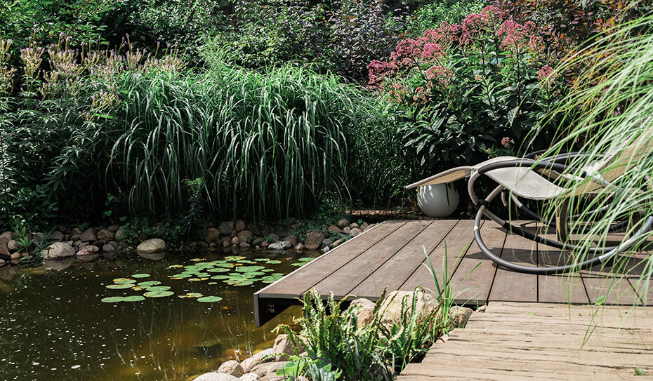 Das Gartenprojekt „Ein Garten zum Träumen“ ist mittlerweile bereits vier Jahre alt. Im vergangenen Sommer haben wir die Möglichkeit ergriffen und einige Fotos des Gartens gemacht: Eine kleine Idylle mitten in der Stadt…