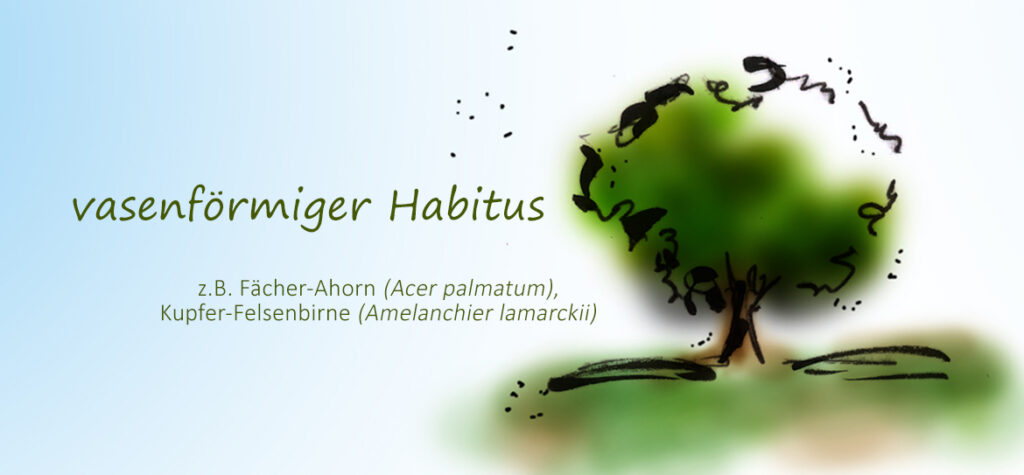 Habitus stammt vom lateinischen habere und bedeutet übersetzt soviel wie „haben“ oder „an sich tragen“.