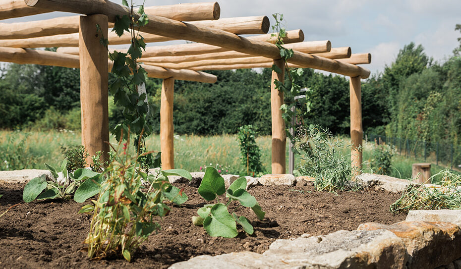 Mit Natursteinmauern haben wir den Garten und das Haus optisch miteinander verbunden. Die alte Treppe, die vom Wintergarten zum Garten führte und bei Nässe und Schnee eine erhebliche Unfallquelle darstellte, haben wir entfernt. Stufen aus Sandstein führen nun in den Garten.