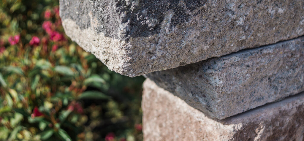 Beton! Alles nur grau? Von wegen! Wir sind dir verfallen….