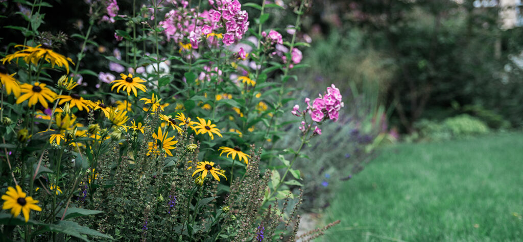 Das Gartenprojekt „Ein Garten zum Träumen“ ist mittlerweile bereits vier Jahre alt. Im vergangenen Sommer haben wir die Möglichkeit ergriffen und einige Fotos des Gartens gemacht: Eine kleine Idylle mitten in der Stadt…