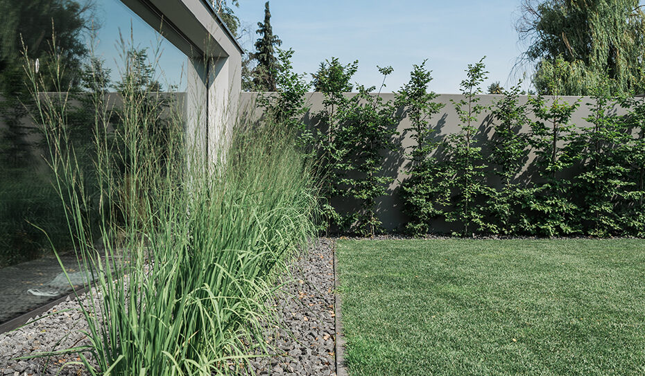 Die Moderne, die Geradlinigkeit und der wundervolle, puristische Stil des Hauses sollten in diesem Garten fortgeführt werden: Garten und Haus als Einheit, harmonisch, zum Entspannen und Wohlfühlen.