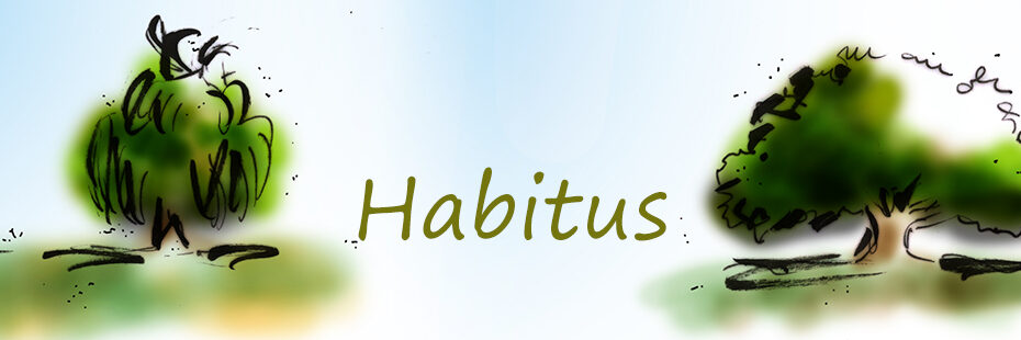 Habitus stammt vom lateinischen habere und bedeutet übersetzt soviel wie „haben“ oder „an sich tragen“.