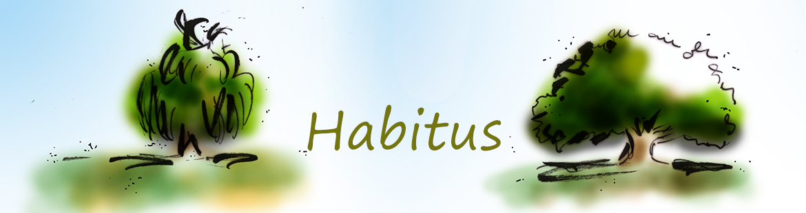 Habitus stammt vom lateinischen habere und bedeutet übersetzt soviel wie „haben“ oder „an sich tragen“.